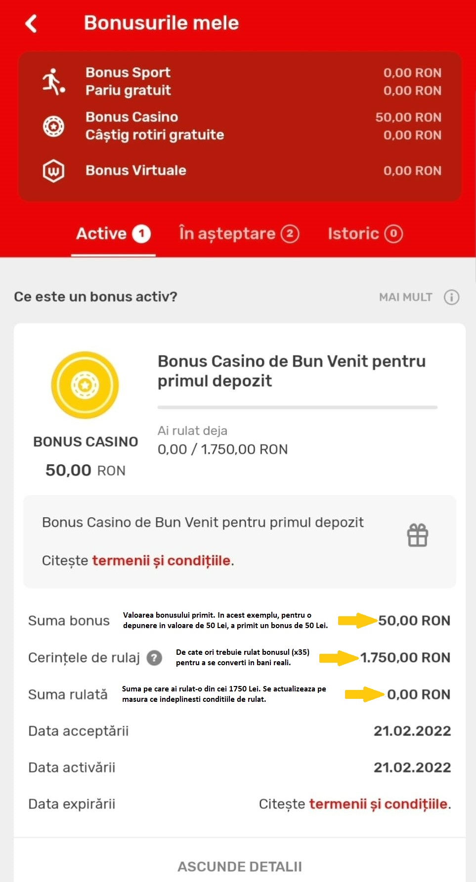 Bonus-de-Bun-Venit-Casino